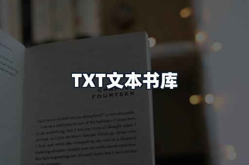 TXT文本书库
